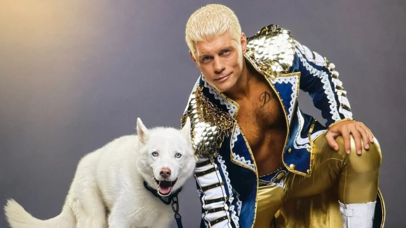 cody rhodes pharoah siberian husky northernwolf