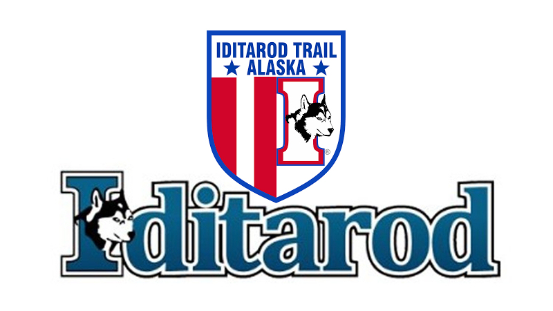 iditarod trail committee member