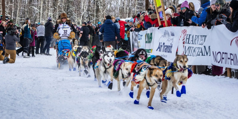 jody potts joseph iditarod 2026 northernwolf